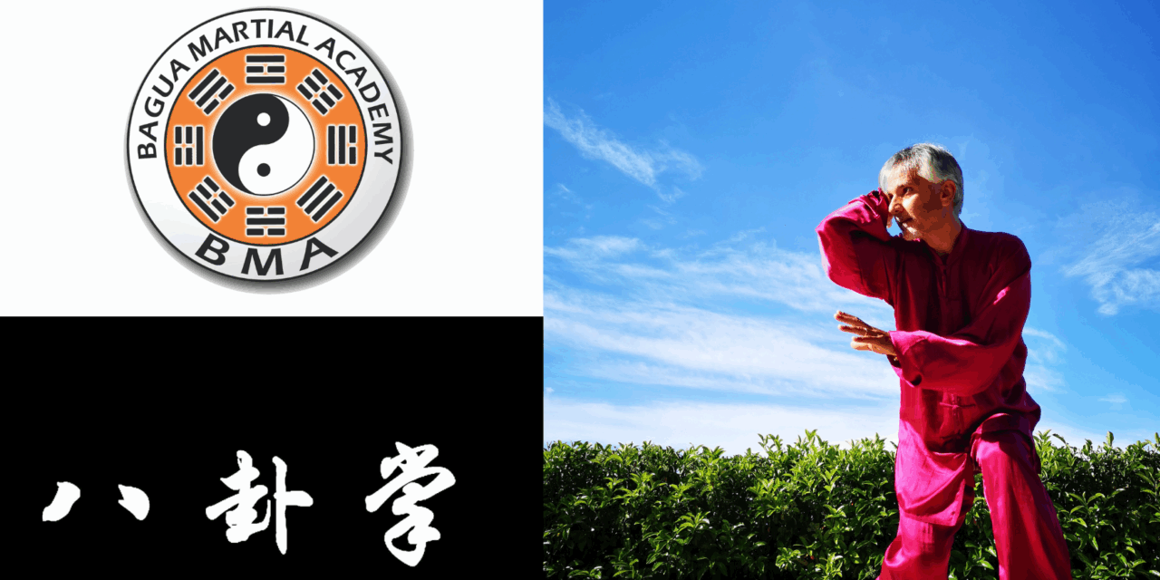 I SEGRTETI DEL BAGUAZHANG EPISODIO 3